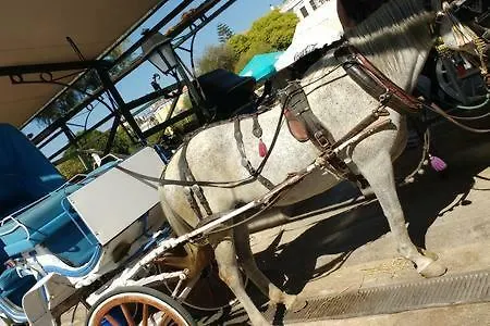 Κεντρικα της πολης διπλα στην παραλιακη και το Συνεδριακο κεντρο του Μεγαρου Μουσικης Διαμέρισμα Θεσσαλονίκη 0*,  Ελλάδα